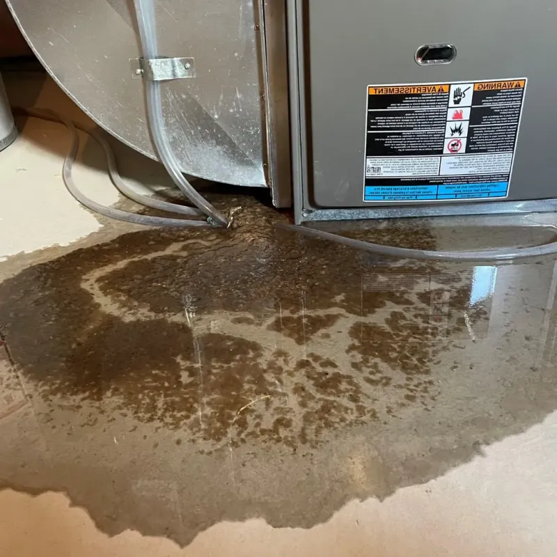 Pipe Burst and Leak Restoration in Canadian County, OK